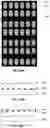 Fig. 24 - Method for integrating a light emitting device