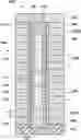 Fig. 01 - Apparatuses including memory cells and related methods