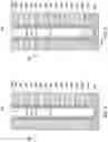 Fig. 05 - Apparatuses including memory cells and related methods