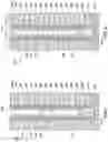 Fig. 06 - Apparatuses including memory cells and related methods