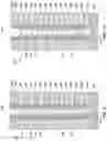 Fig. 07 - Apparatuses including memory cells and related methods