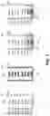 Fig. 04 - Gate-all-around integrated circuit structures having depopulated channel structures using multiple bottom-up oxidation approaches