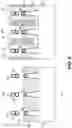Fig. 12 - Gate-all-around integrated circuit structures having oxide sub-fins