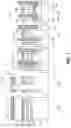 Fig. 13 - Gate-all-around integrated circuit structures having oxide sub-fins