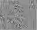 Fig. 01 - SEPARATOR FOR ELECTROCHEMICAL ELEMENT