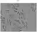 Fig. 02 - SEPARATOR FOR ELECTROCHEMICAL ELEMENT