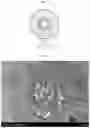 Fig. 03 - Crosslinked polyolefin separator and manufacturing method therefor