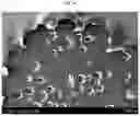 Fig. 06 - Crosslinked polyolefin separator and manufacturing method therefor
