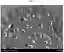 Fig. 07 - Crosslinked polyolefin separator and manufacturing method therefor