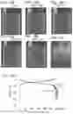Fig. 17 - Current collector, comprising a slit and secondary battery comprising thereof