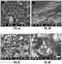 Fig. 06 - Porous silicon compositions and devices and methods thereof