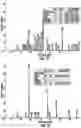 Fig. 07 - Porous silicon compositions and devices and methods thereof