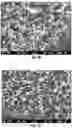 Fig. 21 - Porous silicon compositions and devices and methods thereof