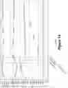 Fig. 16 - Electrolyzer and method of use