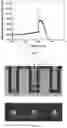 Fig. 08 - Radiolytic electrochemical generator