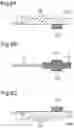 Fig. 07 - Fuel-cell unit cell and manufacturing method therefor