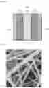 Fig. 03 - Lignin gell electrolyte, method of the lignin gell electrolyte, and energy storing apparatus including the lignin gell electrolyte
