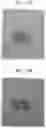 Fig. 03 - Electrolyte containing siloxane compound and lithium secondary battery including the electrolyte