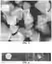 Fig. 04 - ELECTROSPUN COMPOSITE SEPARATOR FOR ELECTROCHEMICAL DEVICES AND APPLICATIONS OF SAME