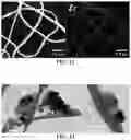 Fig. 07 - ELECTROSPUN COMPOSITE SEPARATOR FOR ELECTROCHEMICAL DEVICES AND APPLICATIONS OF SAME