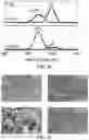 Fig. 15 - ELECTROSPUN COMPOSITE SEPARATOR FOR ELECTROCHEMICAL DEVICES AND APPLICATIONS OF SAME
