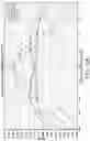 Fig. 13 - Fabric antenna