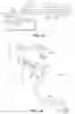 Fig. 15 - Safety grounded artificial tree stand