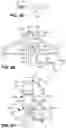 Fig. 28 - Safety grounded artificial tree stand