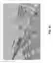 Fig. 24 - PHOTONIC MOLECULE LASER