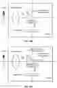 Fig. 11 - Optical amplifier and image capturing device