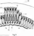 Fig. 06 - Radial multi piece rotor for electric machine