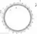 Fig. 06 - Electric machine with stator having a plurality of lead wires extending from a common winding layer
