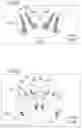 Fig. 10 - Manufacturing method of core for rotary electric machine