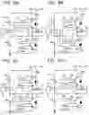 Fig. 07 - Control circuit, semiconductor device, and electrical circuit device