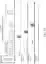 Fig. 11 - Systems and methods for beamforming training in wireless local area networks