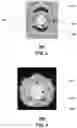 Fig. 03 - Free-space, twisted light optical communication system