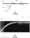 Fig. 07 - Free-space, twisted light optical communication system