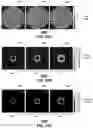 Fig. 23 - Free-space, twisted light optical communication system