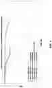 Fig. 05 - Waveform-coding for multicarrier wake up radio frame