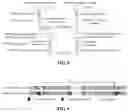 Fig. 05 - OAM message transmission method and transmission device, and storage medium