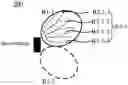 Fig. 01 - Reference signal transmission and reception method and apparatus for beam management