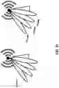 Fig. 32 - Utilization information of a distributed unit for a configured grant in a wireless network