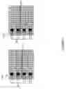 Fig. 09 - Systems and methods for mapping DMRS configuration to phase noise tracking pilot for improved receiver performance