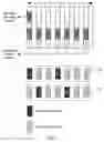 Fig. 06 - Methods and apparatuses for transmitting control information