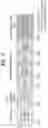 Fig. 04 - Method for transmitting ACK/NACK response for broadcast signal/multicast signal in wireless communication system, and device therefor
