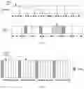 Fig. 05 - Method and apparatus for transmitting physical uplink shared