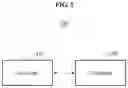 Fig. 04 - Method and apparatus for backscatter communication of pattern-based demodulation