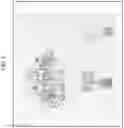 Fig. 13 - Visual image authentication