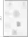 Fig. 14 - Visual image authentication