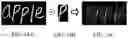 Fig. 22 - Visual image authentication
